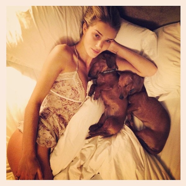 A supermodelo inglesa Rosie Huntington-Whiteley posou só de baby doll, na cama, ao lado de seus dois cãozinhos Dachshund, adormecidos. (Foto: Instagram)