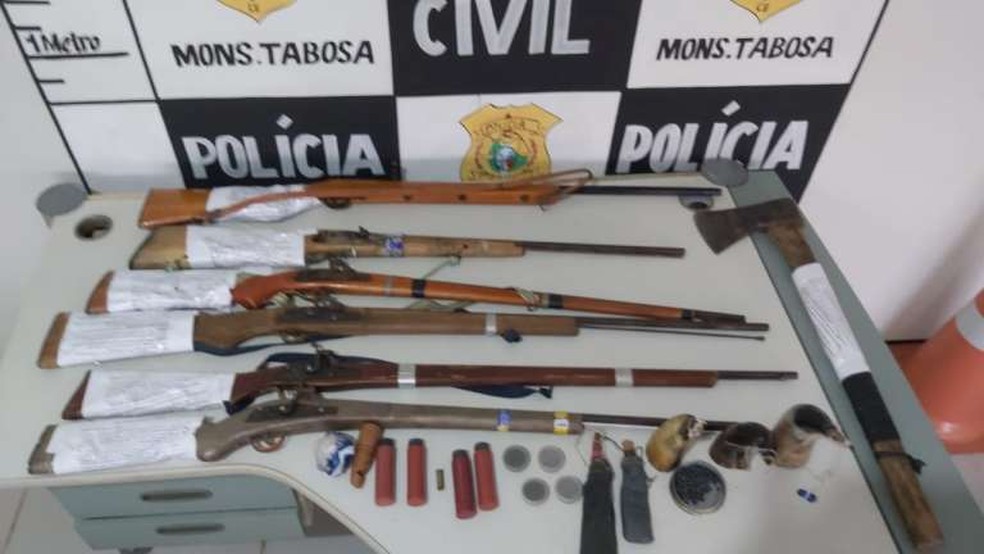 Espingardas e um machado usado para abater os animais foram apreendidos na operação — Foto: Polícia Civil