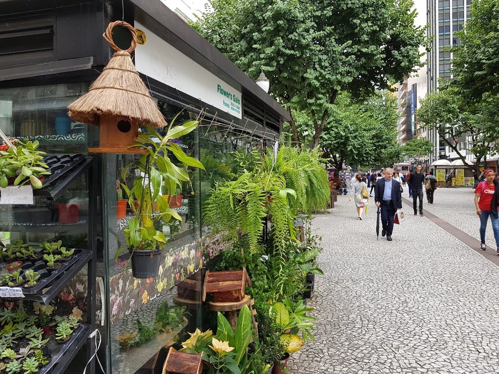 Para os filhos mais tradicionais, existem as floriculturas e as banquinhas com flores e plantas para presentear as mães — Foto: Natalia Filippin/G1