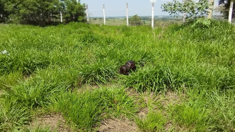 Duas pessoas morreram na Rodovia Júlio Budiski (SP-501), em Álvares Machado (SP) — Foto: Bruna Bachega/TV Fronteira
