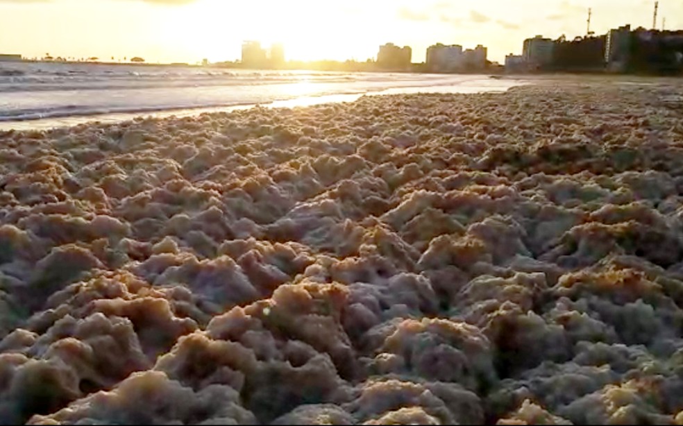 Espuma espessa é vista na Praia do Marciano, em Ilhéus — Foto: Reprodução/Redes Sociais