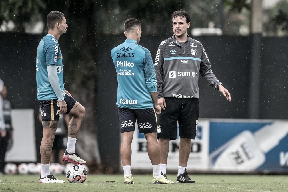 Fernando Diniz, técnico do Santos — Foto: Ivan Storti / Santos FC
