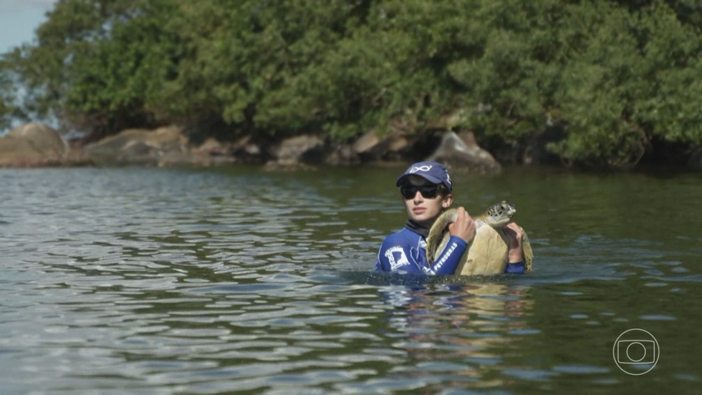 Pesquisadores resgatam as tartarugas para análise e cuidados — Foto: Reprodução/Jornal Nacional