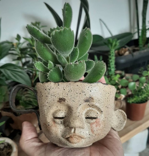 As cerâmicas de Tily podem criar um conjunto charmoso quando acompanhadas de suculentas (Foto: Reprodução/Instagram/@t00dlees)