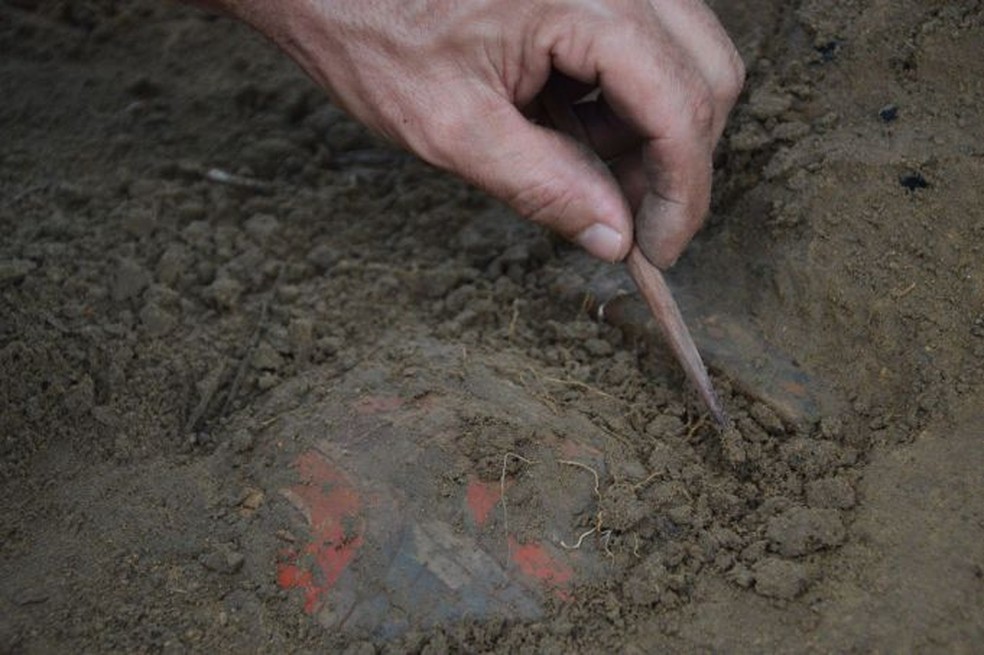 Urnas indígenas foram encontradas em comunidade no Centro do Amazonas (Foto: Divulgação/Instituto Mamirauá)