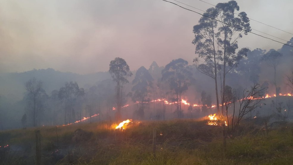 Queimada em área de vegetação em Araçariguama — Foto: Nette Moreira/Arquivo Pessoal