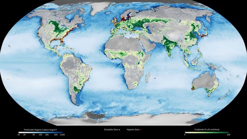 BBC - Áreas hipóxicas (vermelhas) tendem a aparecer perto de regiões com grandes extensões agrícolas (verdes) do mundo. (Foto: NASA/GSFC/SCIENCE PHOTO LIBRARY)