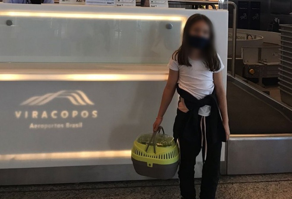 Tutora de Ivy tem 8 anos e está com a hamster há mais de um ano — Foto: Rodrigo Bittencourt/arquivo pessoal