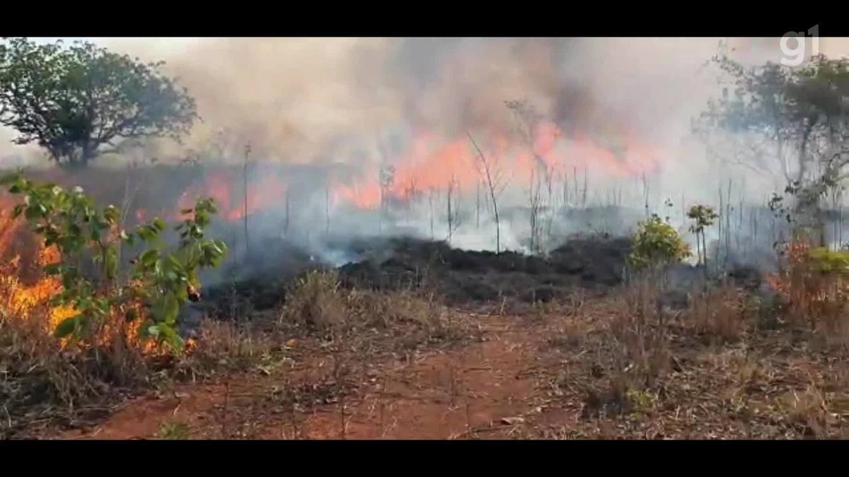 Bombeiros combatem incêndio em área de vegetação em Bocaiuva; chamas podem ter sido provocadas por fogos de artifício 
