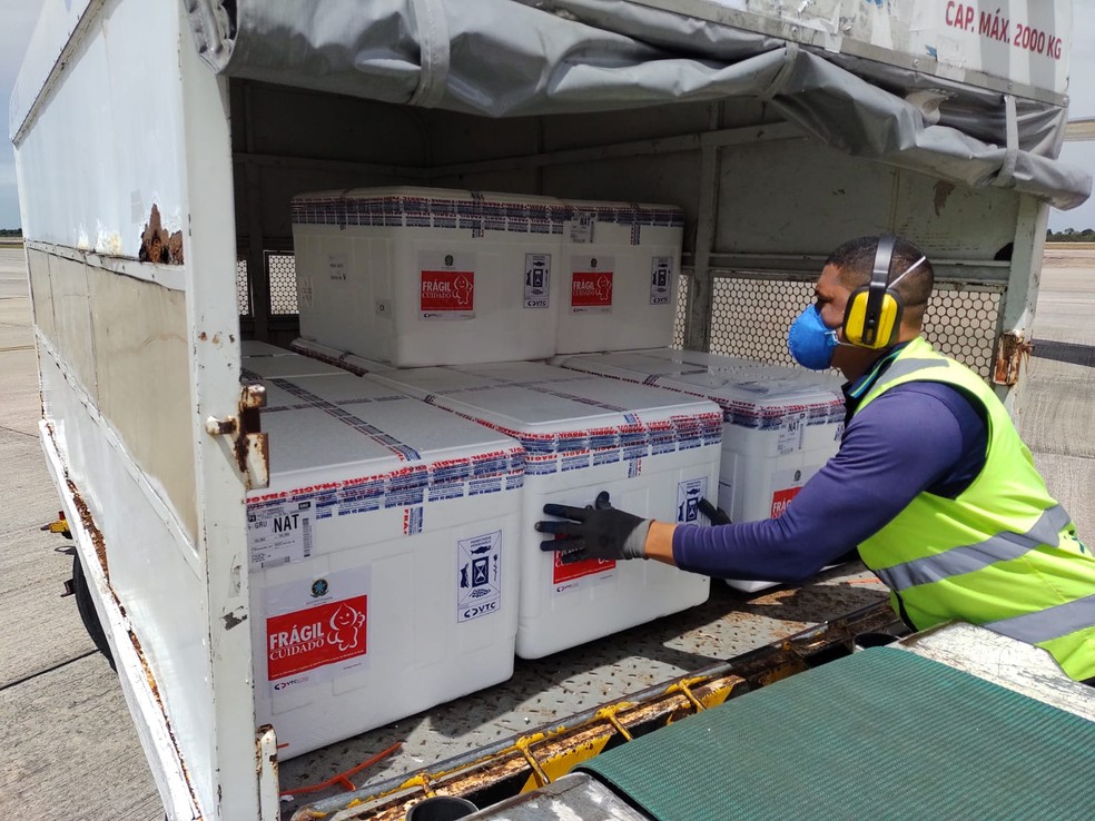 RN recebe 75 mil vacinas contra Covid e aguarda lote com mais 69 mil doses — Foto: Divulgação/Paulo Nascimento
