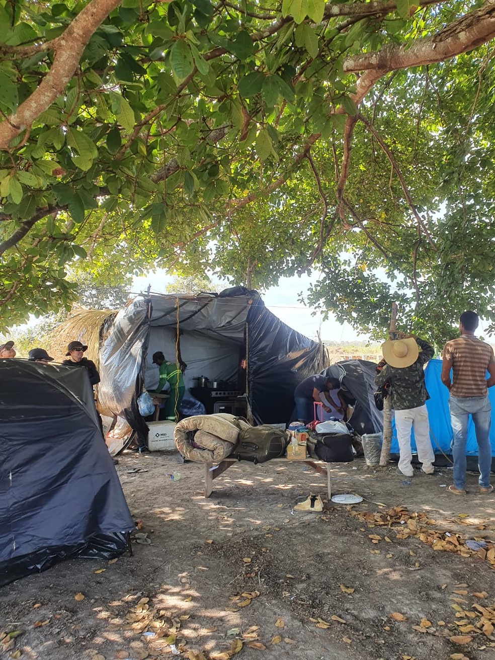 Sete trabalhadores foram encontrados em condições análogas à escravidão em MT — Foto: Superintendência Regional do Trabalho