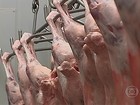 Mercado da carne de cordeiro está crescendo em municípios de SP