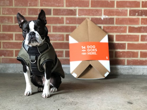 Designer cria caminhas de papelão reciclável para cachorros (Foto: Divulgação)