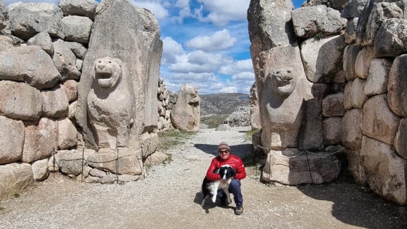Belmiro pelo Mundo Vida de Bicho