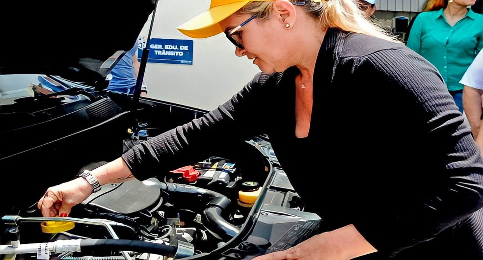 Mulher mexe na parte interna de carro — Foto: Divulgação