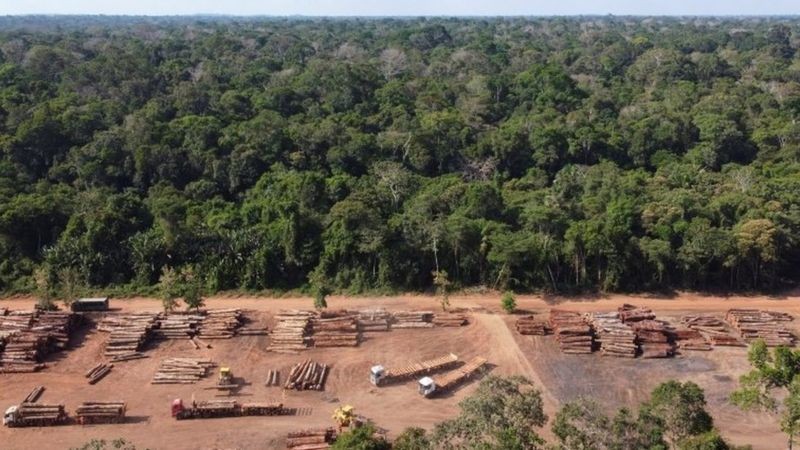 Levantamento leva em conta, pela primeira vez, emissões provocadas por desmatamento, não apenas queima de combustíveis fósseis (Foto: Reuters via BBC News Brasil)