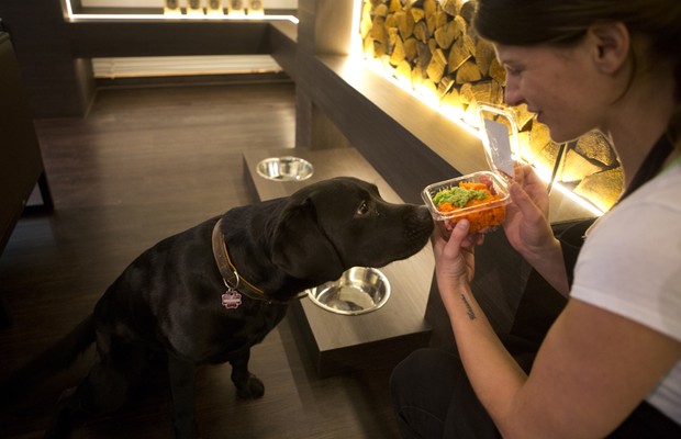 Alemão abre restaurante de luxo para cães e gatos (Foto: AFP)
