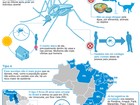 Santarém tem 17 casos confirmados de dengue em 2015