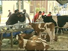 Criadores de gado participam da Pec Nordeste em Fortaleza, CE