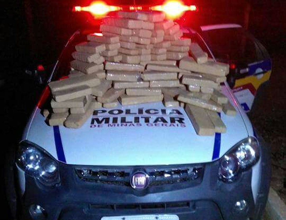 Drogas apreendidas pela PM (Foto: Polícia Militar/Divulgação)