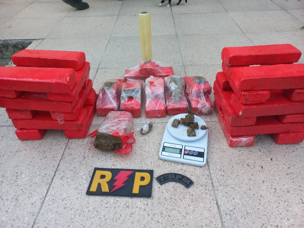 Drogs encontradas durante cumprimento de mandados em Alagoas e Pernambuco — Foto: SSP-AL