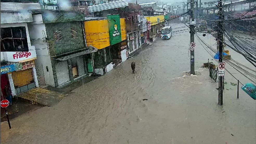 Avenida Otacílio de Azevedo, em Nova Descoberta, foi tomada pela água durante as chuvas desta sexta-feira (30) — Foto: Reprodução/TV Globo