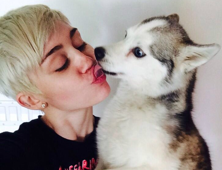 Miley Cyrus com o cachorro Floyd. (Foto: Twitter)