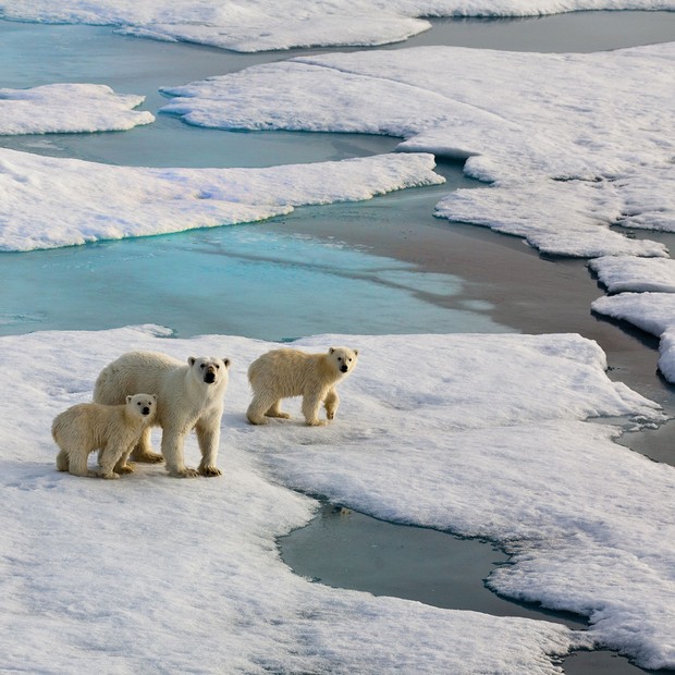 Mudança Climática (Foto: Getty Images)