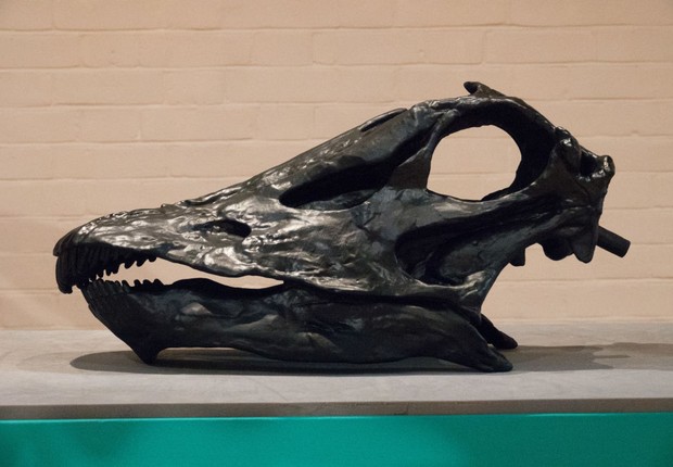 Fóssil de dinossauro em exibição em museu (Foto: Matt Cardy/Getty Images)