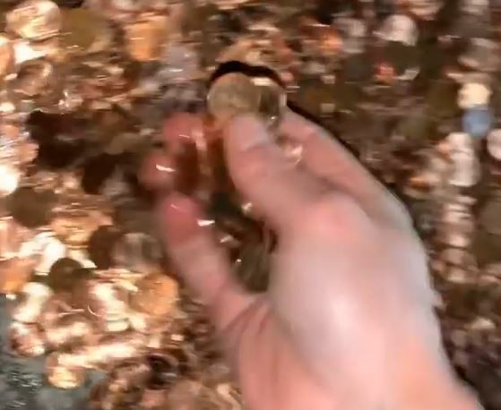 Patrão paga rescisão de funcionário em moedas de 1 centavo (Foto: Reprodução/ Instagram )