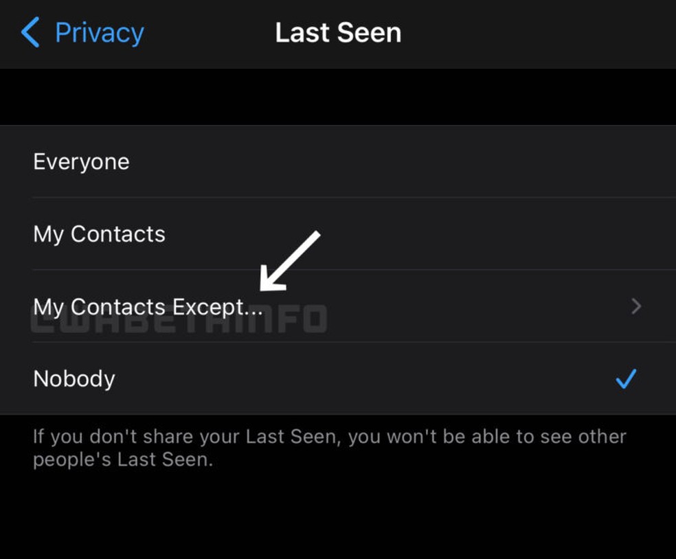 WhatsApp pode permitir que usuário esconda o "visto por último" de contatos específicos — Foto: Reprodução/WABetaInfo