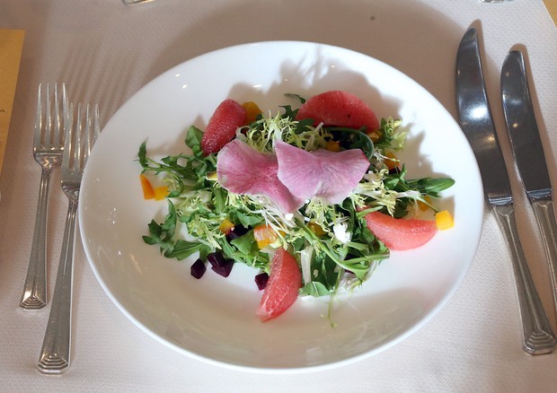 Salada que será servida no Golden Globes  (Foto: Getty Images)