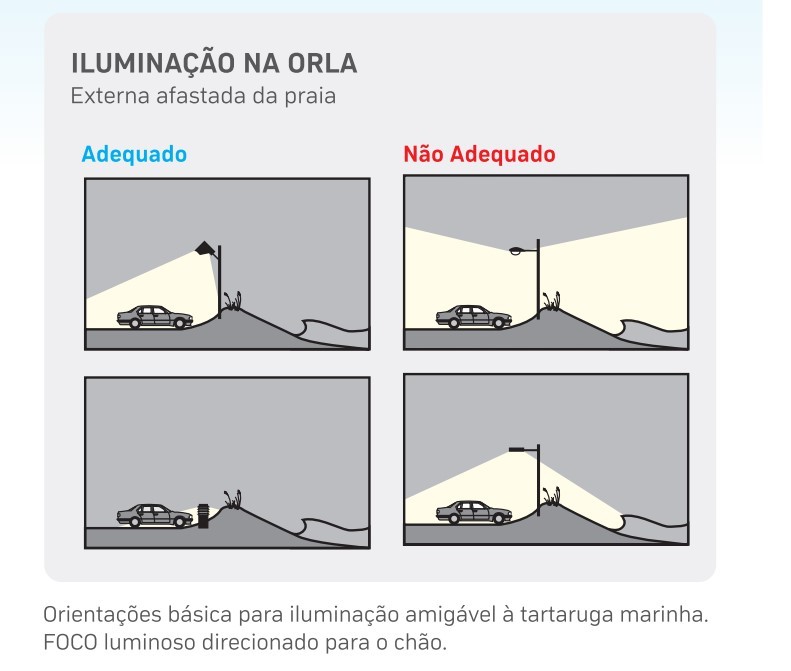 Filhotes de tartaruga 'erram' caminho do mar ao serem atraídas pela luz de postes em praia do Piauí