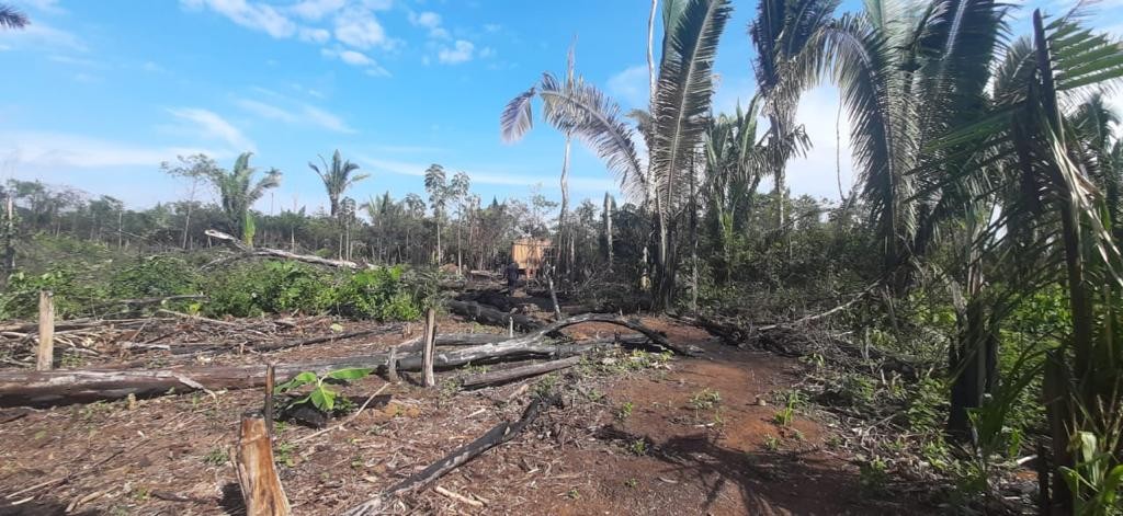 Após ataque no Parque Guajará-Mirim, conselheiros pedem proteção a servidores que combatem invasões de terra