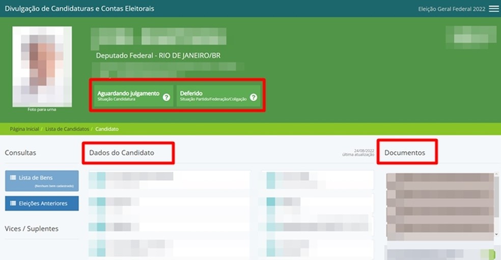Página dedicada do TSE exibe os dados detalhados sobre o candidato a deputado federal escolhido pelo público — Foto: Reprodução/Gabriela Andrade