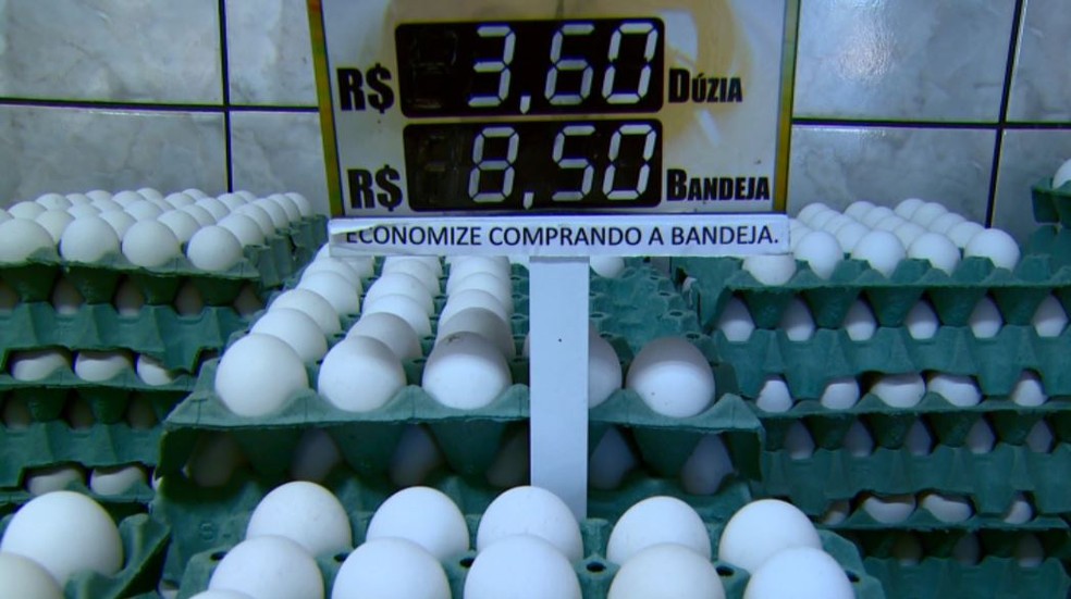 Com aumento da produção, preço do ovo caiu em São Carlos (Foto: Reprodução EPTV)