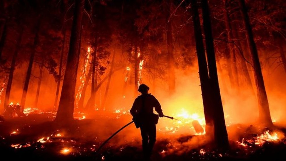 Incêndio florestal de grandes proporções na Califórnia, em agosto de 2021. — Foto: AFP