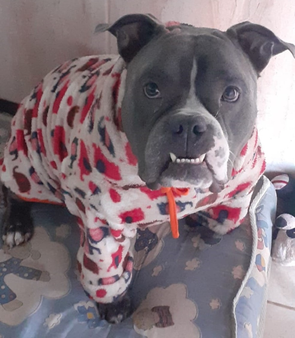 Luna colocou uma roupinha para curtir o friozinho — Foto: Reprodução