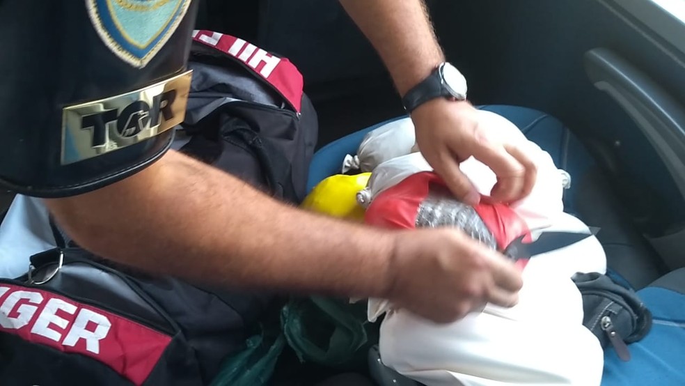 Pacotes de skunk foram encontrados pela polícia em Porangaba (SP) — Foto: Polícia Militar Rodoviária/Divulgação