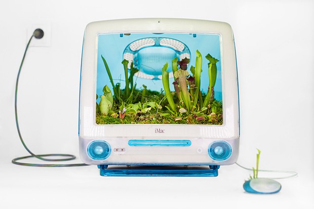 Plant Your Mac! de Christophe Guinet (Foto: Divulgação)