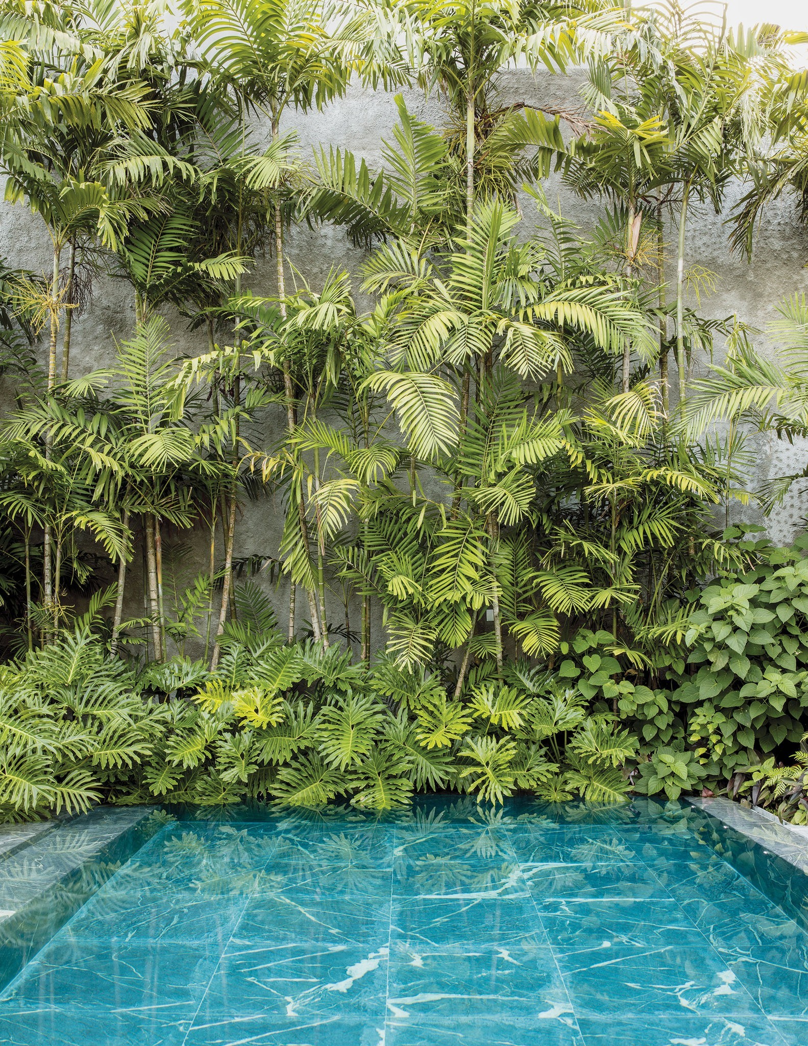 A piscina criada durante a reforma da casa de Adriana Varejão, projetada originalmente por Oscar Niemeyer, é cercada por plantas e árvores (Foto: Stephan Ruiz / Reprodução)