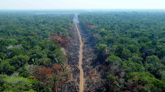 'Não vai reverter do dia para a noite': Apesar de ações, queda do desmatamento ainda vai levar tempo, explicam especialistas