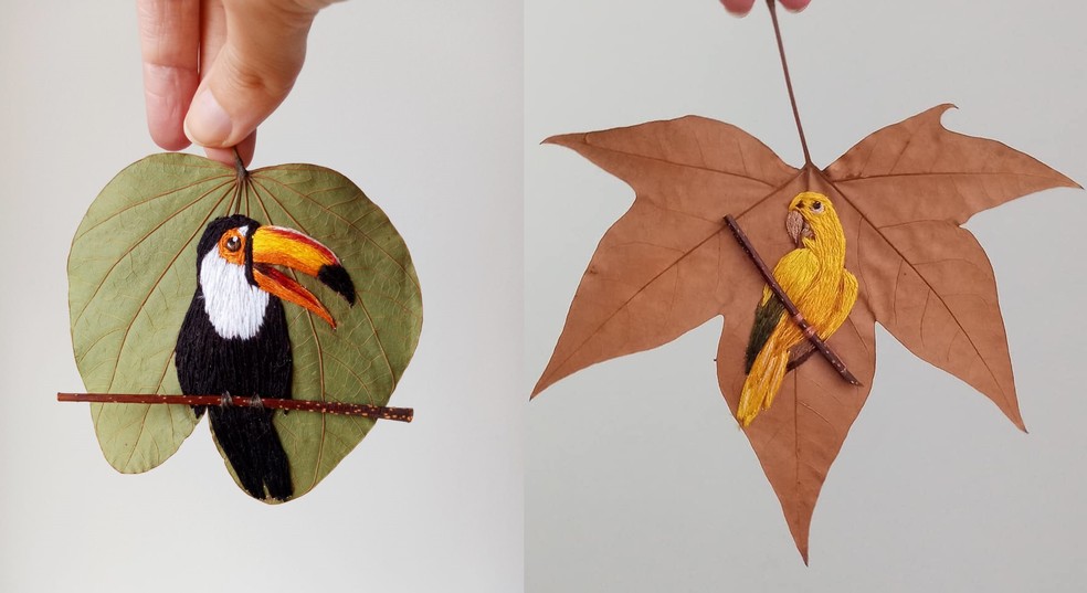 Artesa Borda Aves Brasileiras Em Folhas Secas Terra Da Gente G1 Folhas secas png is a totally free png image with transparent background and its resolution is 800x729. borda aves brasileiras em folhas secas