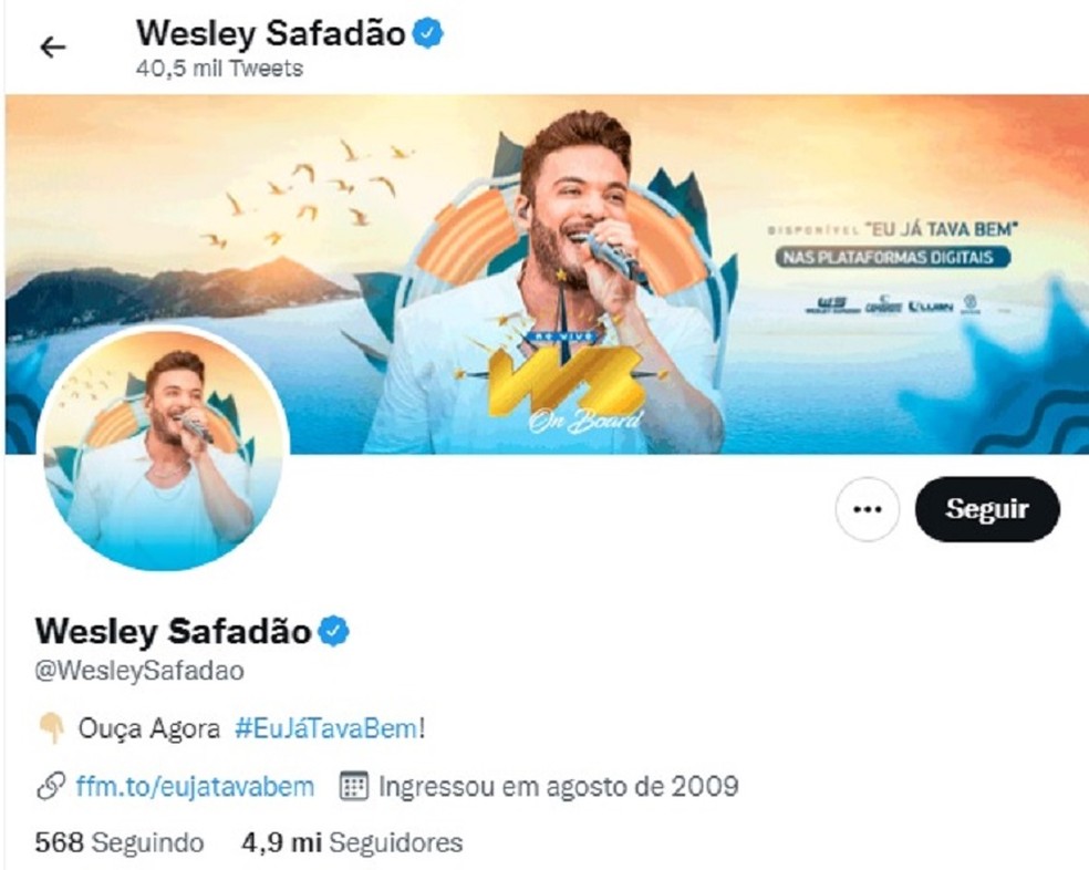 Perfil do cantor Wesley Safadão é invadido e tem publicações racistas e homofóbicas — Foto: Twitter/Reprodução