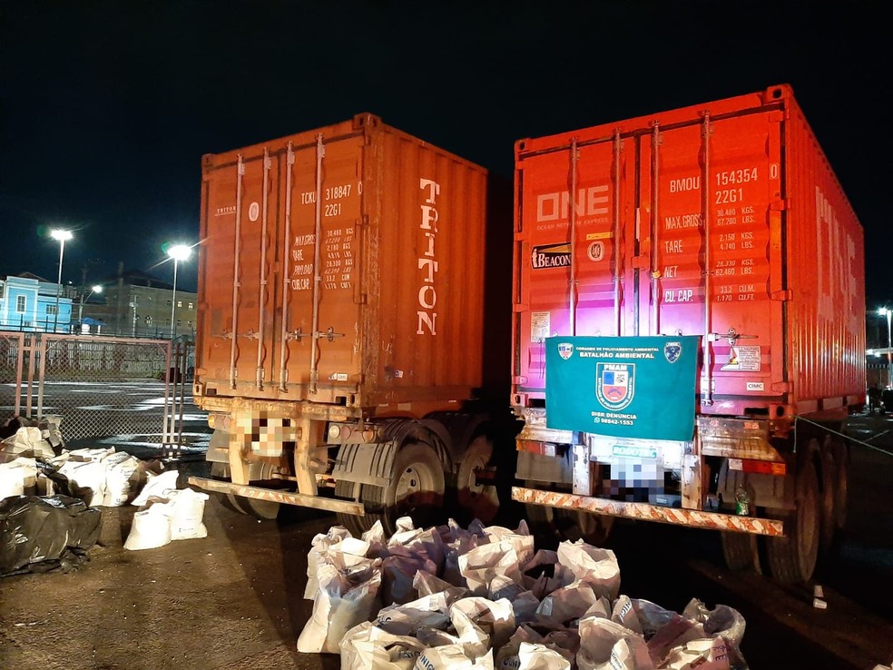 Minério de cassiterita estava em dois contêineres e sacos plásticos. — Foto: Divulgação