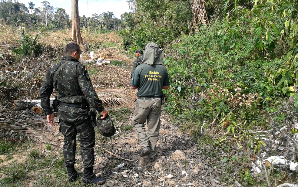 FiscalizaÃ§Ãµes podem ficar comprometidas, segundo comitÃª â€” Foto: DivulgaÃ§Ã£o/Ibama