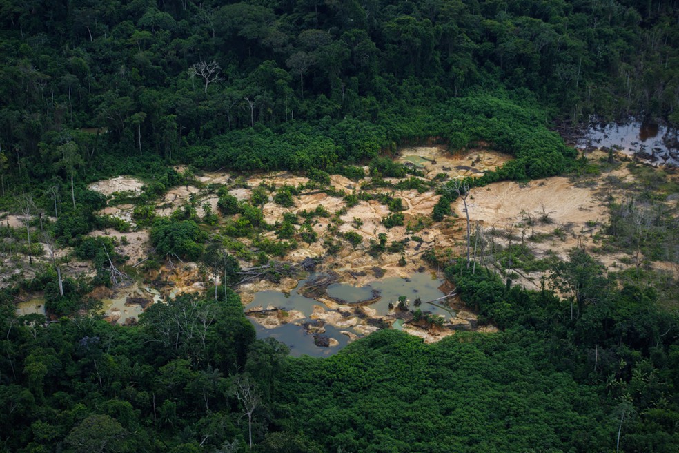 Devastação causada pelo garimpo na Terra Yanomami — Foto: Divulgação