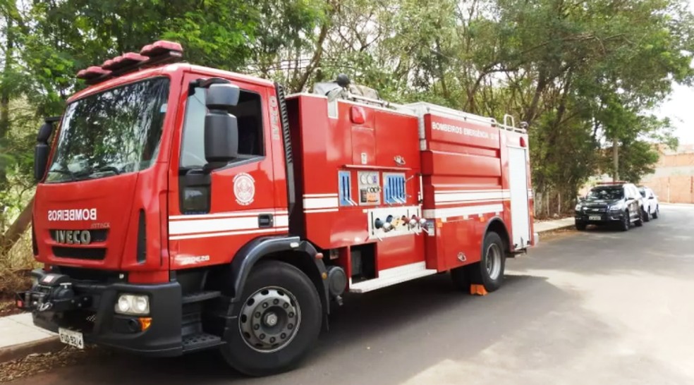 Bombeiros encontraram idosa caída dentro de casa ao atenderem ocorrência de cão barulhento.  — Foto: ACidadeON Araraquara