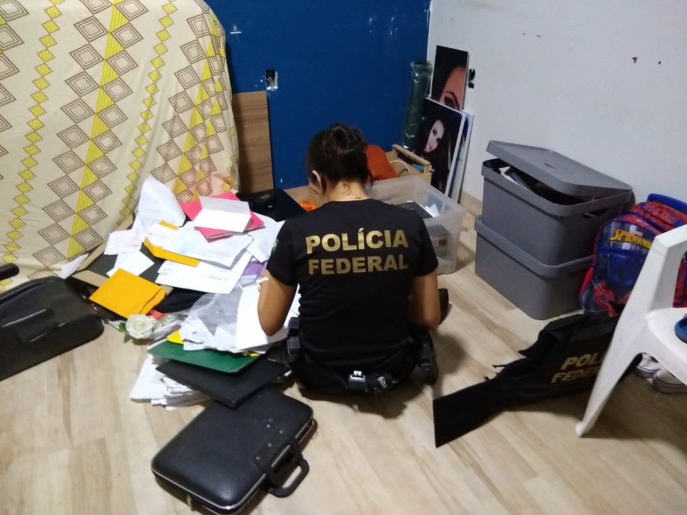 Parte do dinheiro apreendido com os investigados — Foto: PF/Reprodução