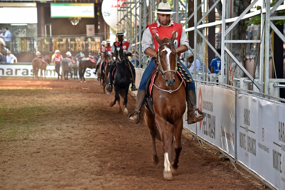 Caxambu de marcha da raça Mangalarga Marchador em 2019. — Foto: Lucas Soares / G1